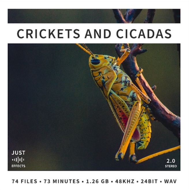 Just Sound Effects Crickets and Cicadas [WAV]