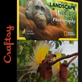 CRAFTSY – NATIONAL GEOGRAPHIC GUIDE TO LANDSCAPE & WILDLIFE PHOTOGRAPHY WITH MICHAEL MELFORD & TIM LAMAN (Premium)