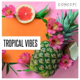 Concept Samples Tropical Vibes [WAV] (Premium)