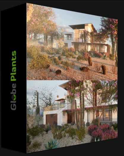 GLOBE PLANTS – BUNDLE 42 MEXICAN PLANTS 02