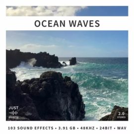 Just Sound Effects Ocean Waves [WAV] (Premium)