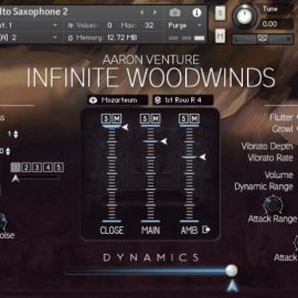 Aaron Venture Infinite Woodwinds v2.0 [KONTAKT] (Premium)