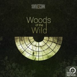 Best Service TO Woods Of The Wild [KONTAKT] (Premium)