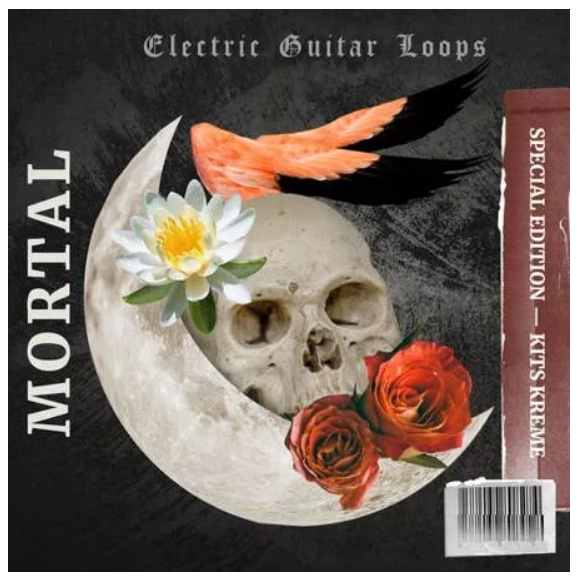 Kits Kreme Mortal Electric Guitar Loops [WAV]