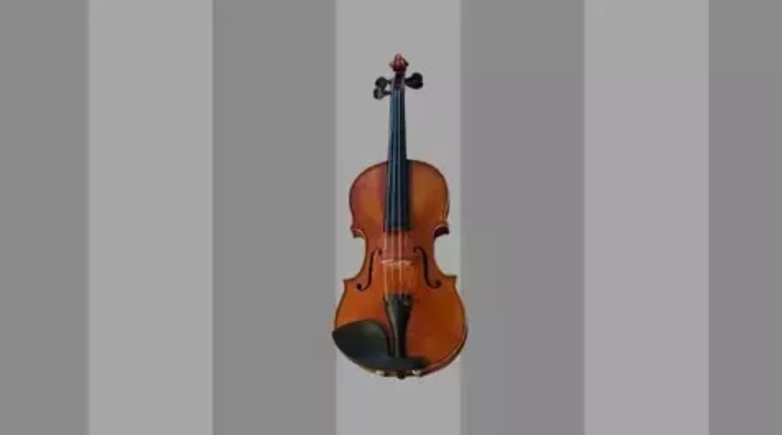 Udemy The Ultraguide to playing violin beginner to intermediate [TUTORiAL]