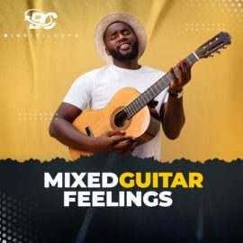 Big Citi Loops Mixed Guitar Feelings [WAV] (Premium)