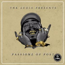YnK Audio Passionz Of Post [WAV] (Premium)