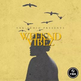 YnK Audio Weeknd Vibez: The Weeknd Type Loops [WAV] (Premium)