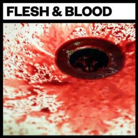Big Room Sound Flesh and Blood [WAV] (Premium)