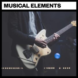 Big Room Sound Musical Elements [WAV] (Premium)