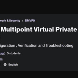 Dynamic Multipoint Virtual Private Network (DMVPN) (Premium)