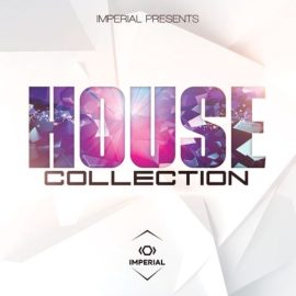 Dynasty Loops House Collection [WAV] (Premium)