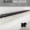 HOOKSHOW Black Melodies Piano Ice [WAV] (Premium)