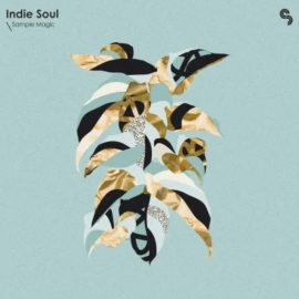 Sample Magic Indie Soul [WAV, Synth Presets] (Premium)