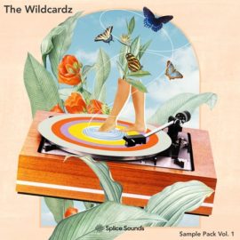 Splice Sounds The Wildcardz Sample Pack Vol.1 [WAV, Synth Presets] (Premium)