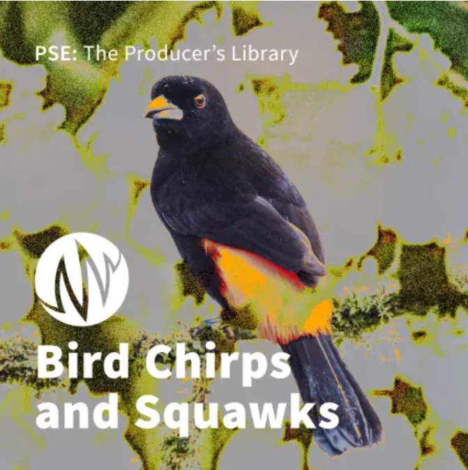 PSE: The Producer's Library Bird Chirps and Squawks [WAV]