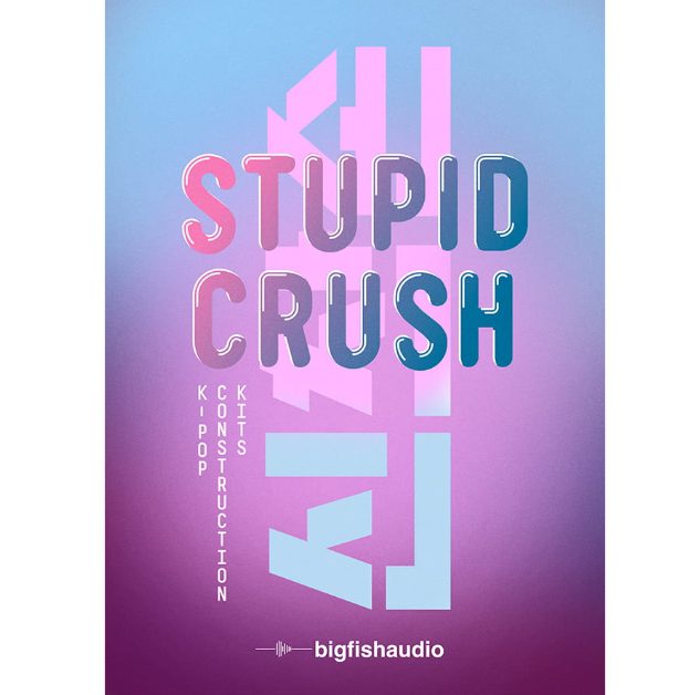 Big Fish Audio Stupid Crush K-Pop [WAV]