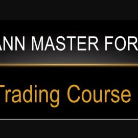 Matei – Gann Master Forex Course Download 2023 (Premium)