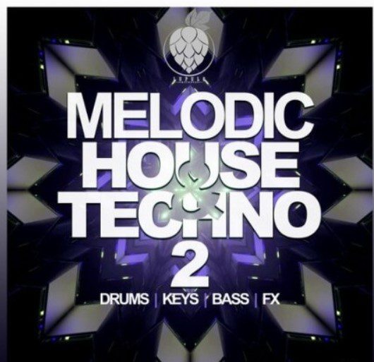 Dirty Music Melodic House & Techno Vol. 2