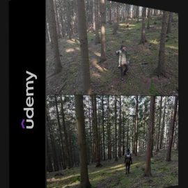 UDEMY – CREATING A FIR AND PINE FOREST IN BLENDER  (Premium)