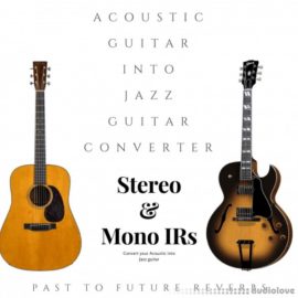 PastToFutureReverbs Acoustic Guitar Into Jazz Guitar Converter (Premium)