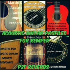 PastToFutureReverbs Acoustic Guitar Profiles for Kemper! Kemper Profiles KiPR (Premium)