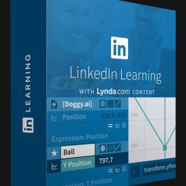 LINKEDIN – AFTER EFFECTS: USING EXPRESSIONS (Premium)