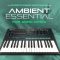 Korg OPsix Sound Bank: Ambient Essential by CO5MA (Premium)