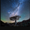 Daniel Kordan Photography – Patagonia Night Sky Panorama Baobab (Premium)