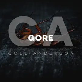 C.A. Sound Inc Gore (Premium)