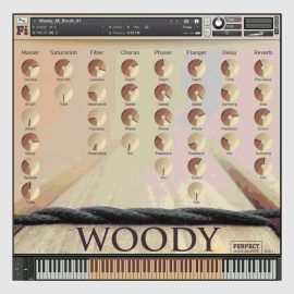 Ferpect Instruments Woody African Percussion (Premium)