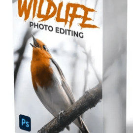 Zenja Gammer – Wildlife Photo Editing Course (Premium)